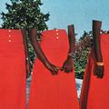 Jesse Treece