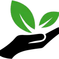 mygreenvalue