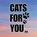 catsforyou