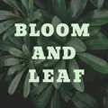 Bloom and Leaf