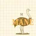 Mane